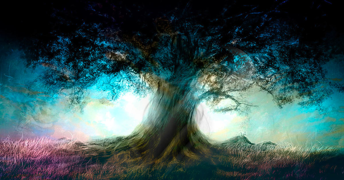 Arbre de Vie : Quelle est sa Signification Cachée ?