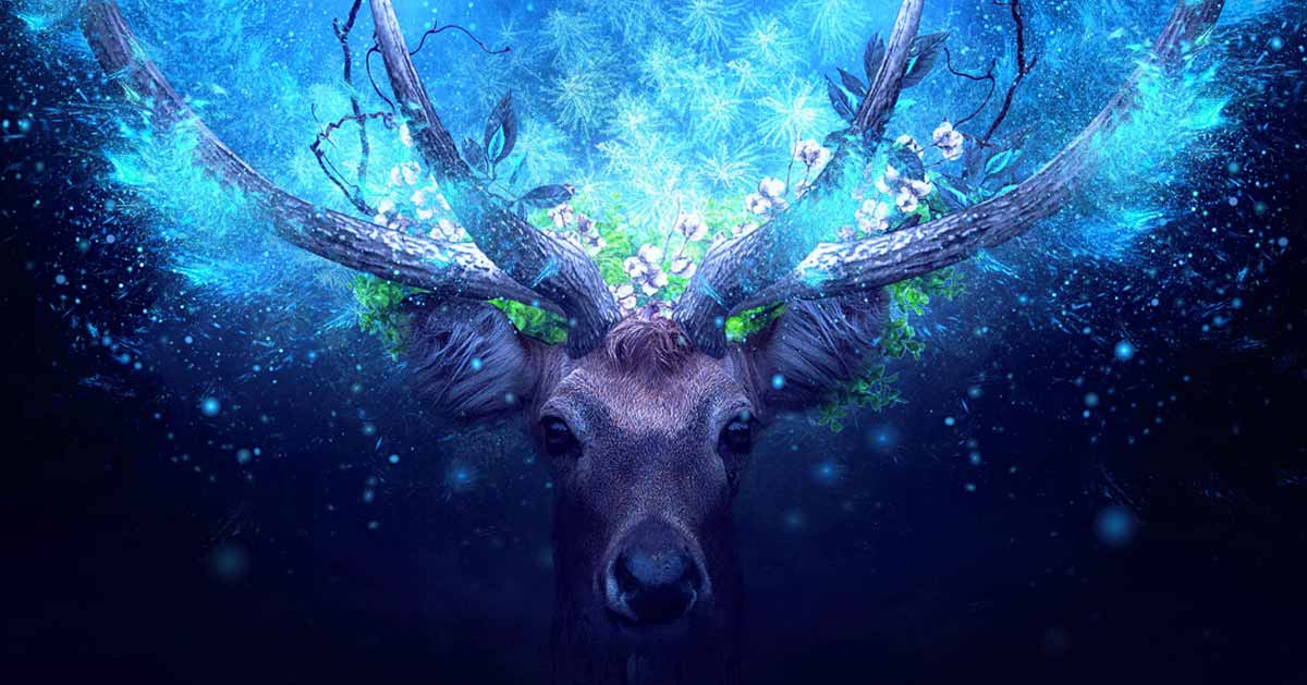 Animal Totem Cerf : Majestueux et Bienveillant...