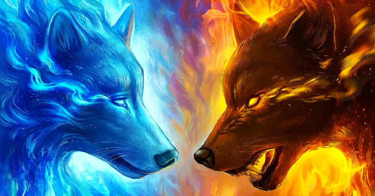 L'Animal Totem Loup : Sortez les Crocs !