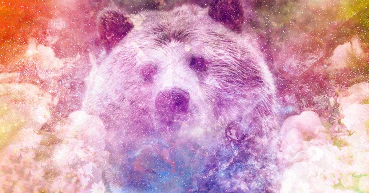 Animal Totem Ours : Indomptable mais Bienveillant