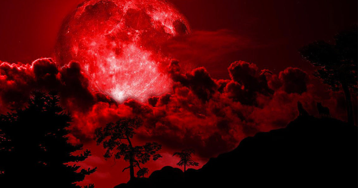 Super Lune de Sang 2019 : un phénomène rare et envoûtant !