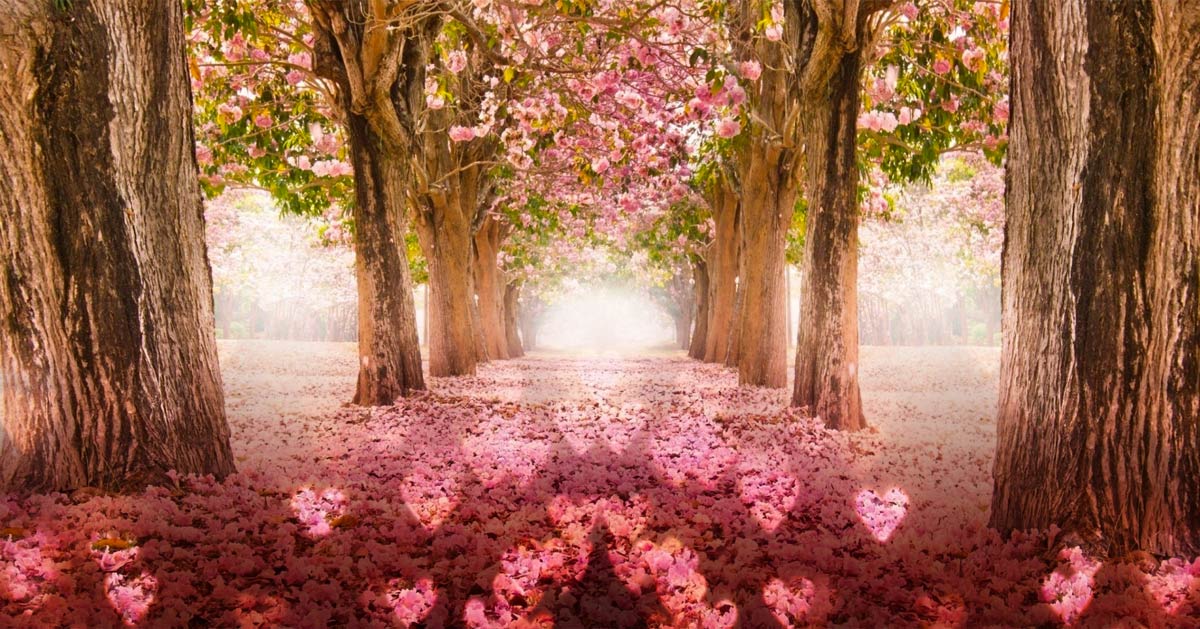 Compatibilité Chemins de Vie : Comment trouver votre Âme Sœur ?