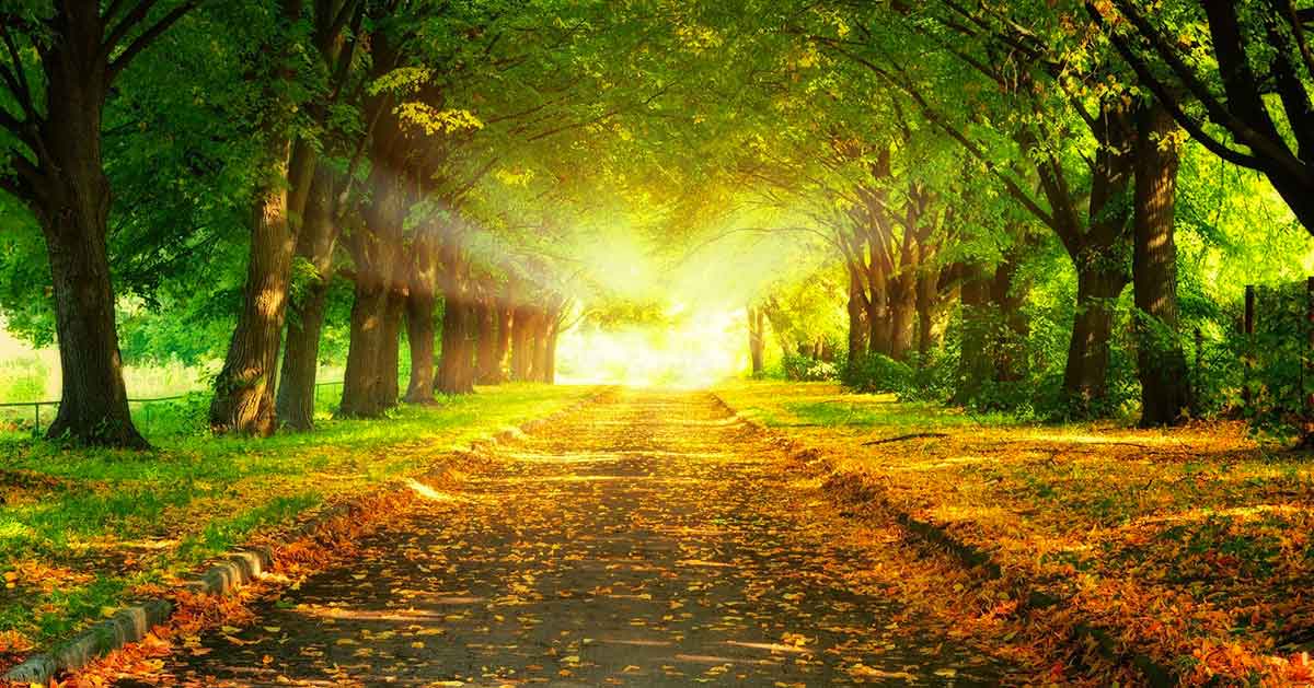 En 2025, comment calculer VOTRE Bracelet Chemin de Vie ?